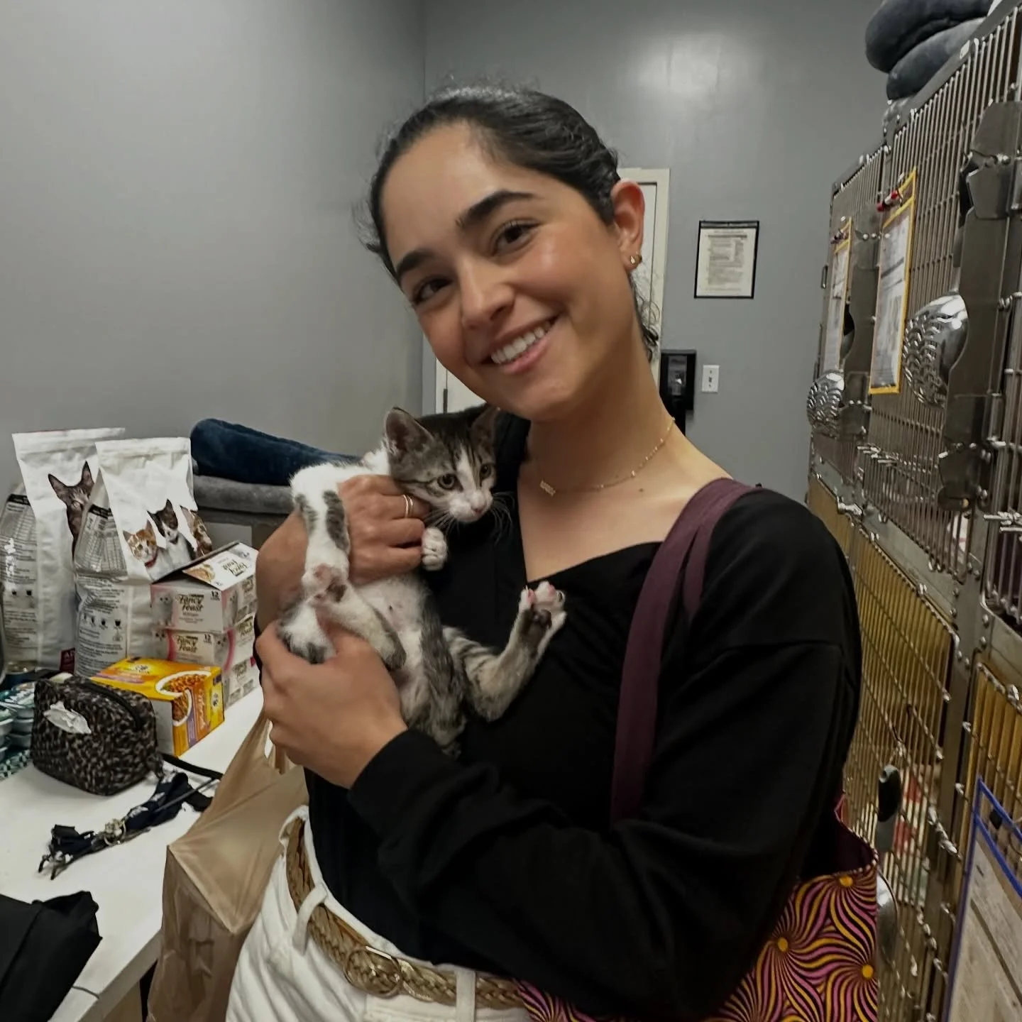 Double adoption week