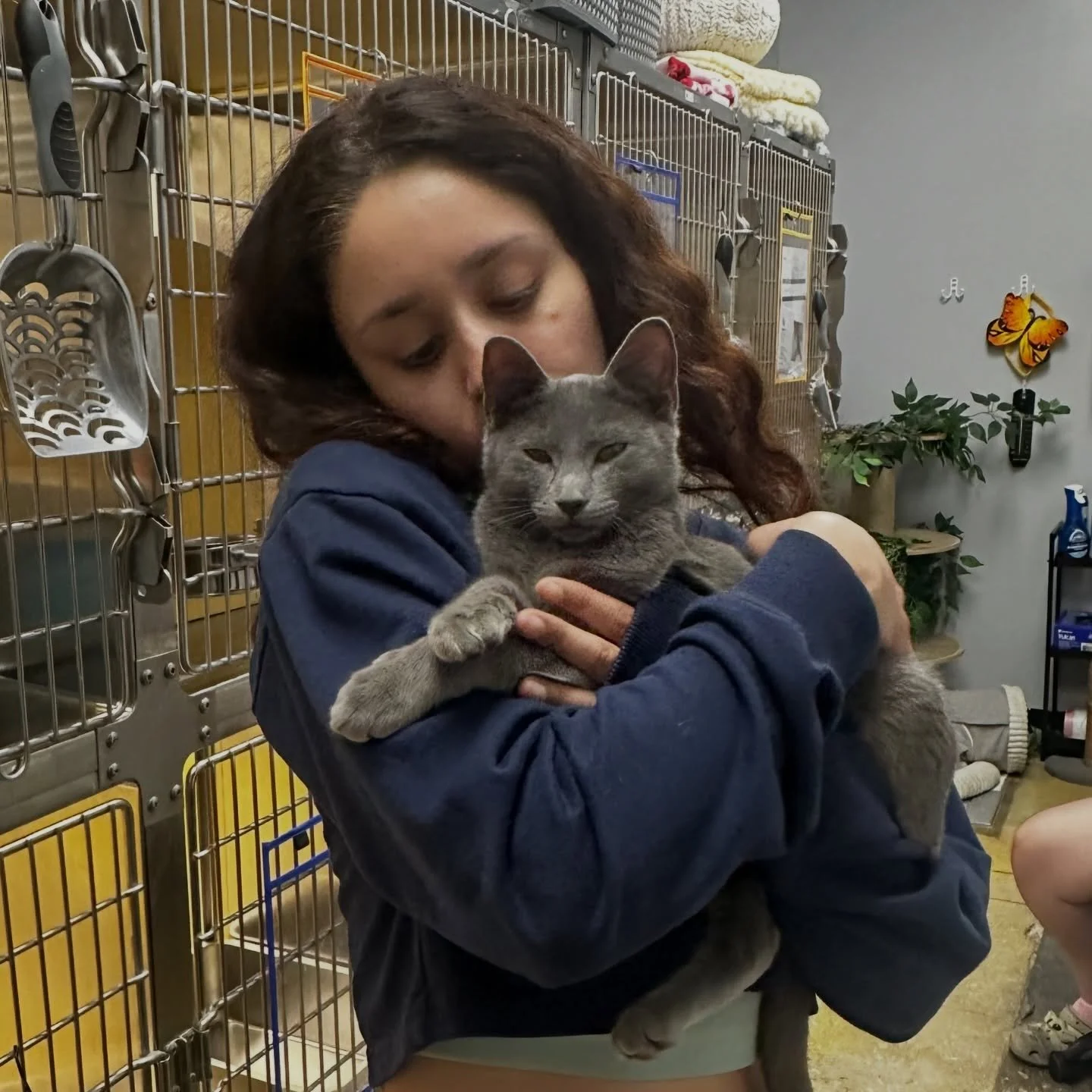 Happy Tails adoptions